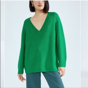 Aritzia v neck roger sweater in gloss green